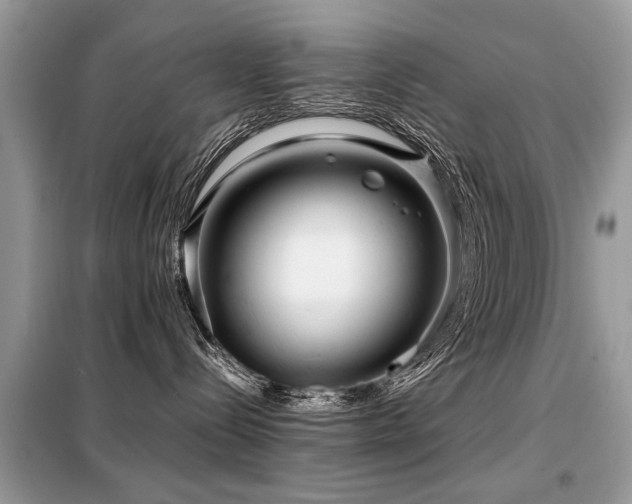 X0000099460288200805091536
