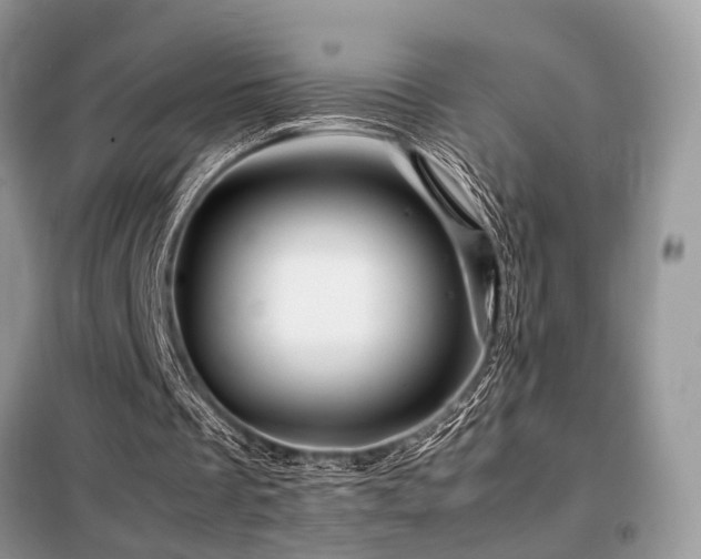 X0000099460289200805091535