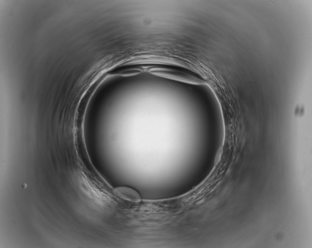 X0000099460290200805091535