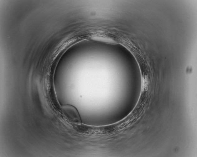 X0000099460291200805091535
