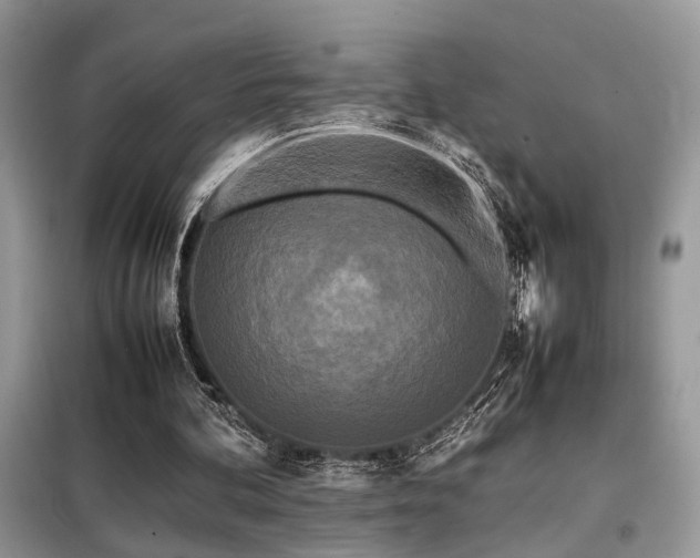 X0000099460292200805091535