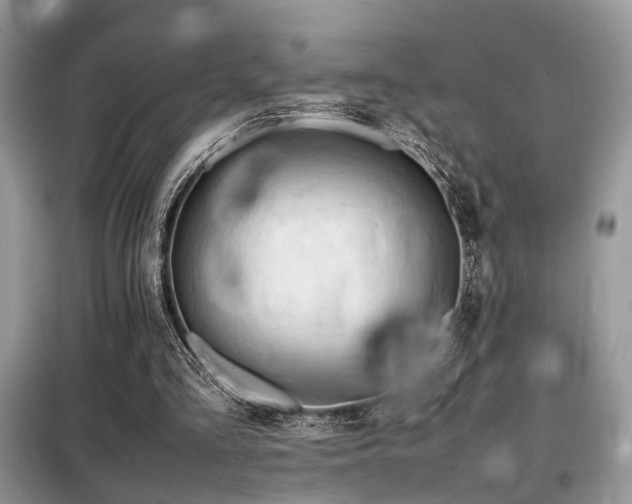X0000099460293200805091535