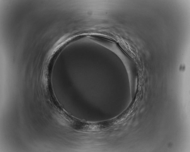X0000099460295200805091535