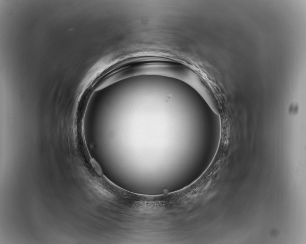 X0000099460296200805091535
