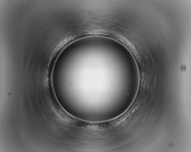 X0000099460298200805091535