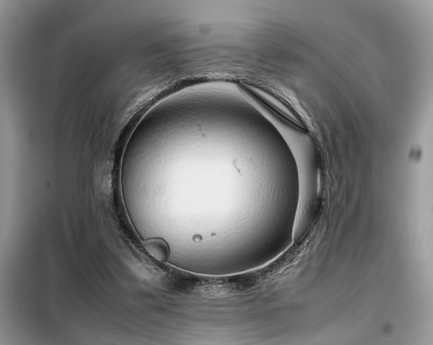 X0000099460299200805091535