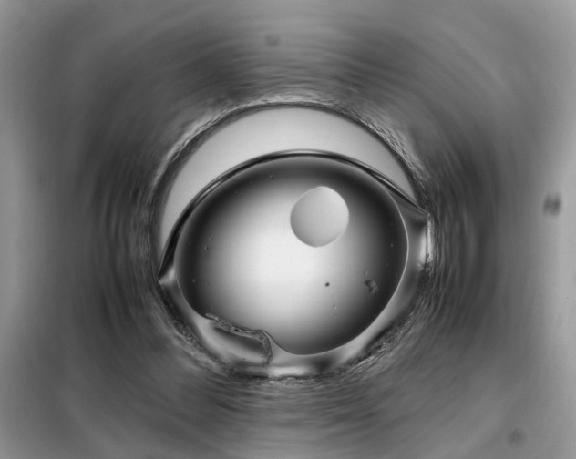 X0000099460300200805091535