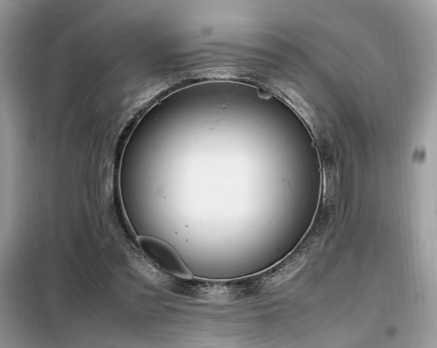 X0000099460301200805091535