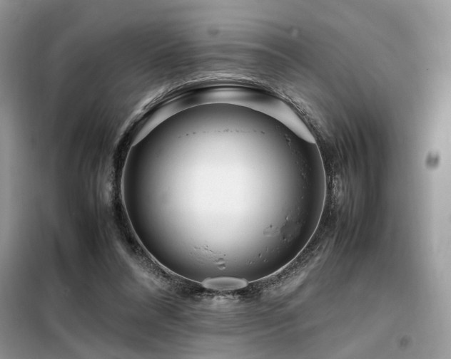 X0000099460304200805091535