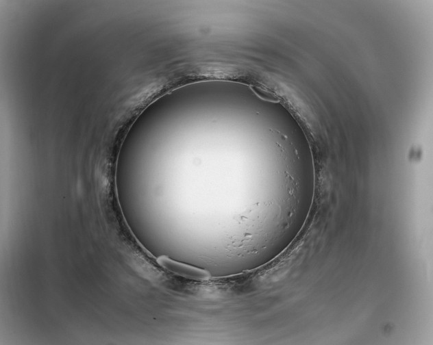 X0000099460305200805091535