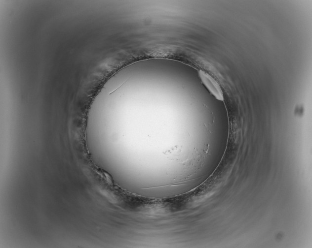 X0000099460307200805091535