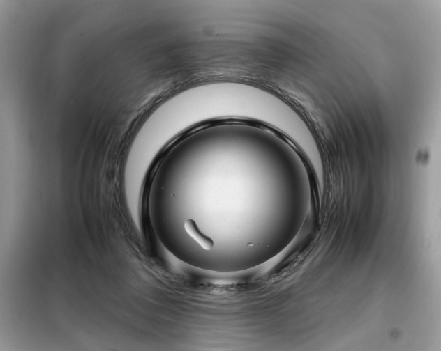 X0000099460308200805091535