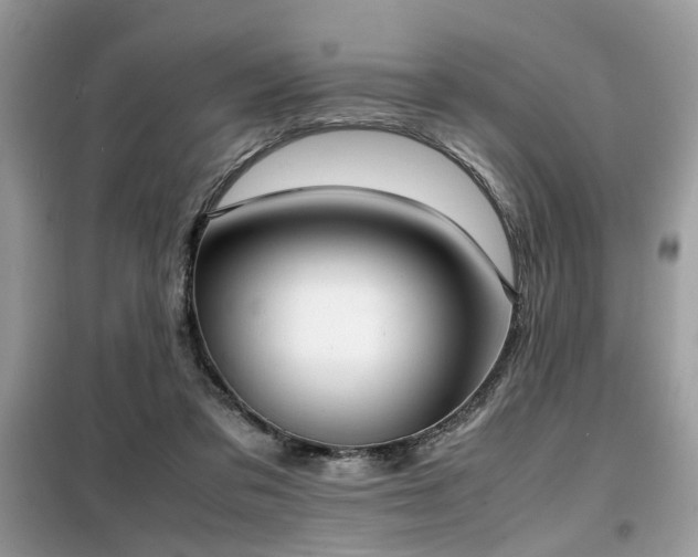X0000099460309200805091535