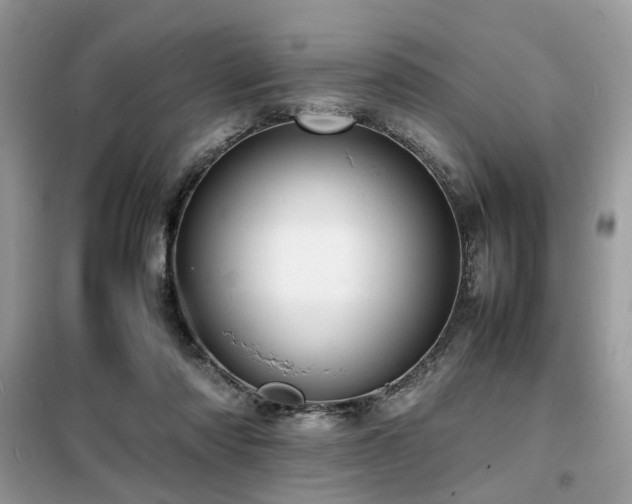 X0000099460310200805091535