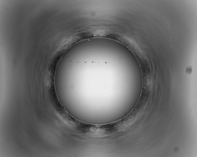 X0000099460311200805091535