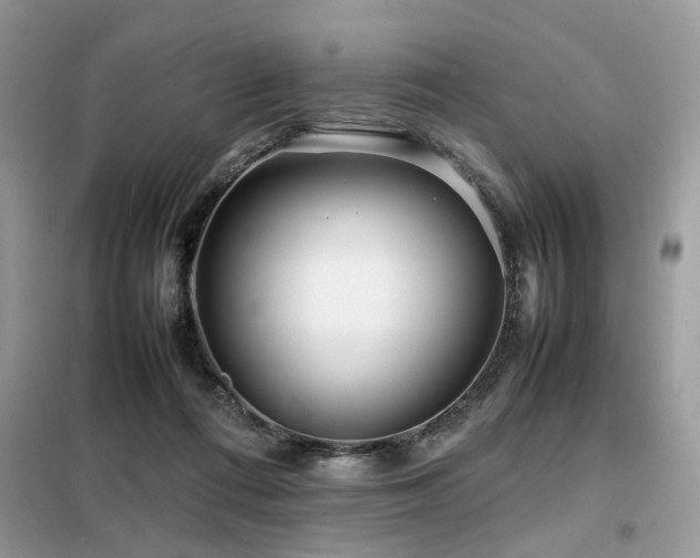 X0000099460312200805091535