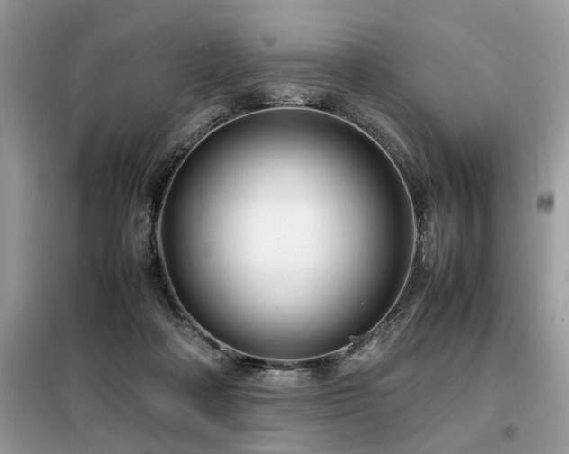 X0000099460314200805091535