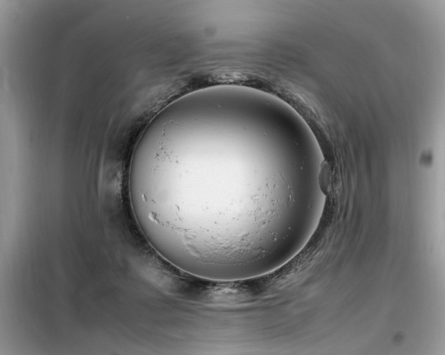 X0000099460315200805091535