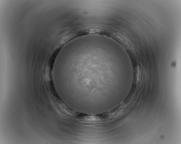 X0000099460316200805091535
