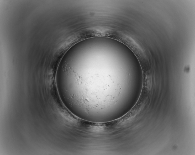 X0000099460318200805091535