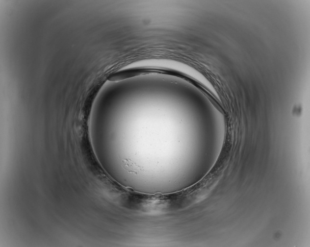 X0000099460319200805091535