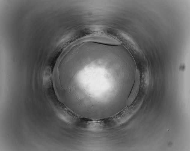 X0000099460320200805091535