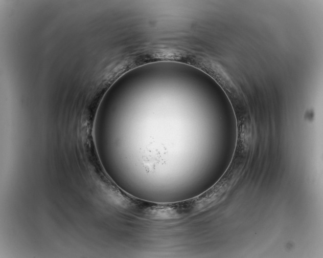 X0000099460322200805091535