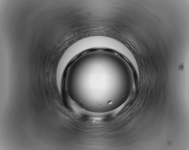 X0000099460324200805091535