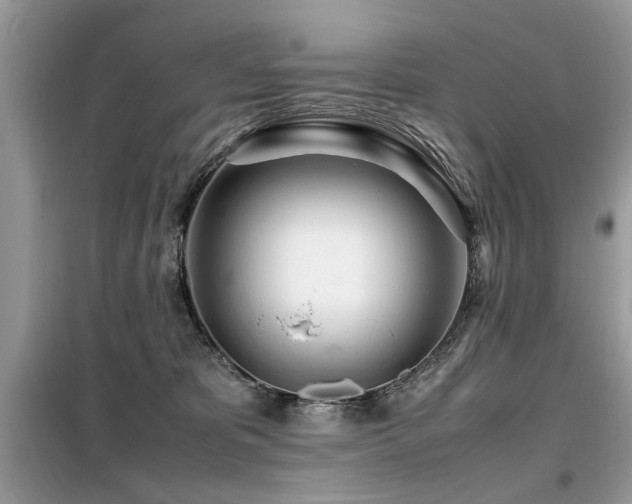 X0000099460325200805091535