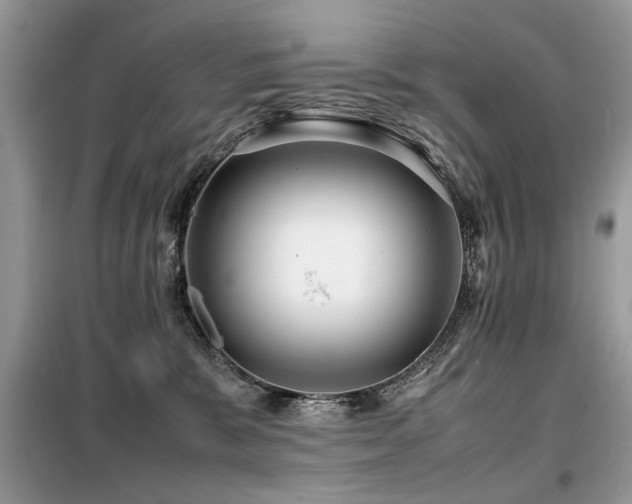 X0000099460327200805091534