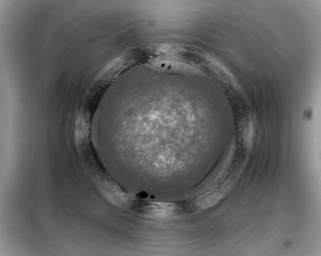 X0000099460328200805091534