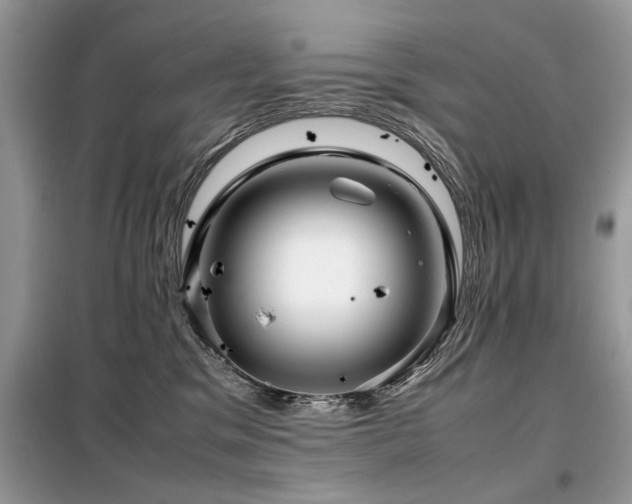 X0000099460329200805091534