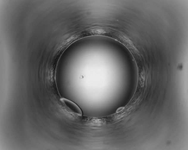 X0000099460330200805091534
