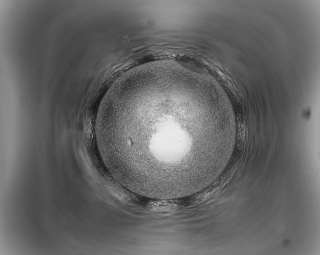 X0000099460331200805091534