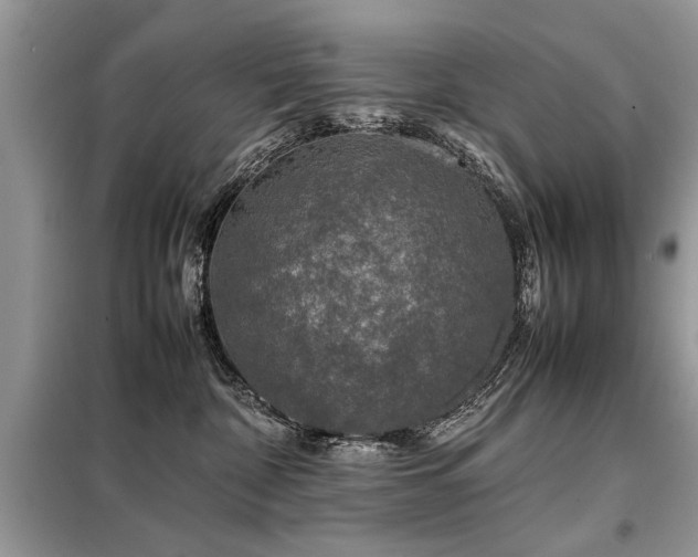 X0000099460332200805091534