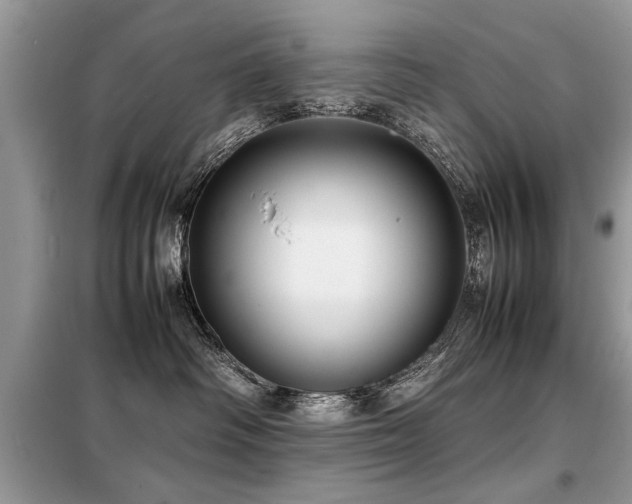 X0000099460334200805091534