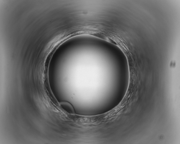X0000099460338200805091534