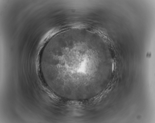 X0000099460339200805091534