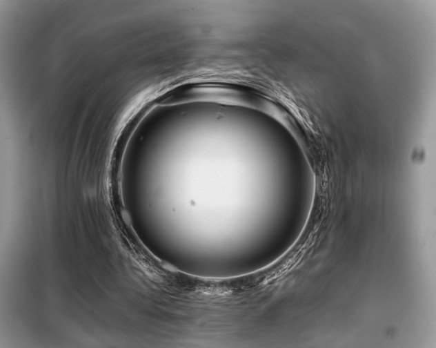X0000099460340200805091534