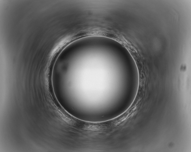 X0000099460341200805091534