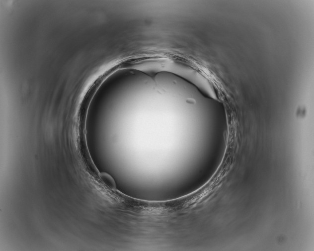 X0000099460342200805091534