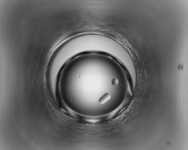 X0000099460344200805091534