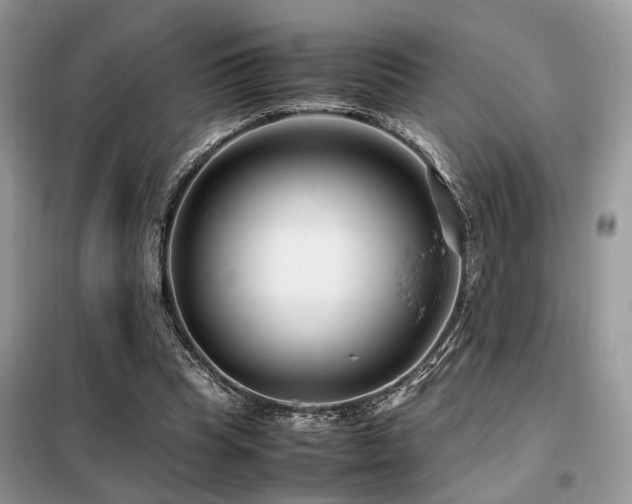 X0000099460345200805091534