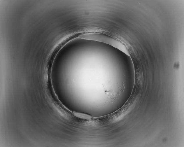 X0000099460350200805091534