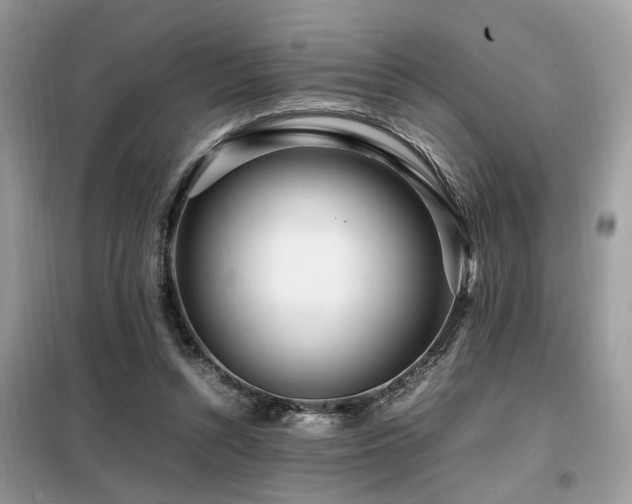 X0000099460352200805091534