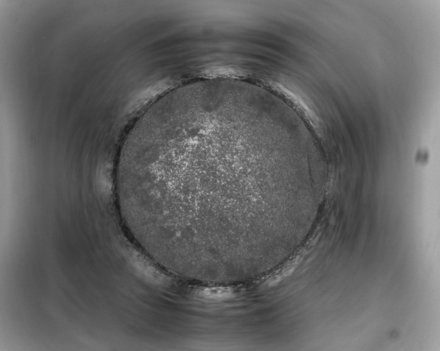 X0000099460353200805091534
