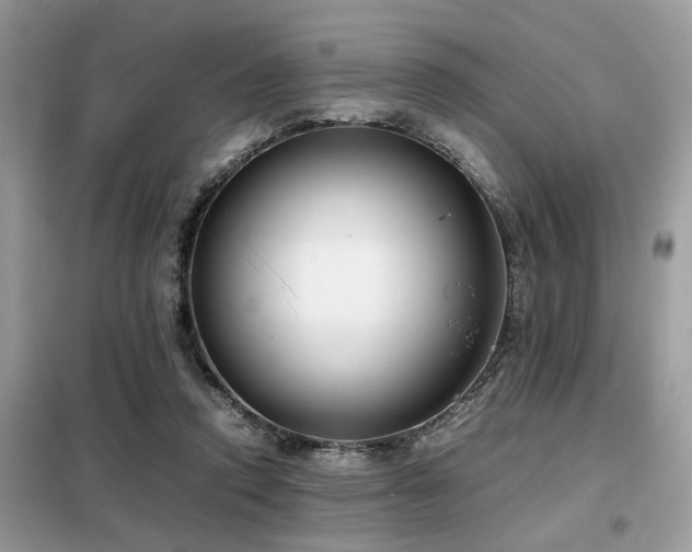 X0000099460354200805091534