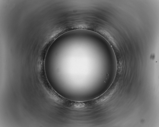X0000099460355200805091534