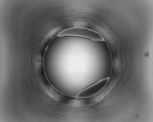 X0000099460356200805091534