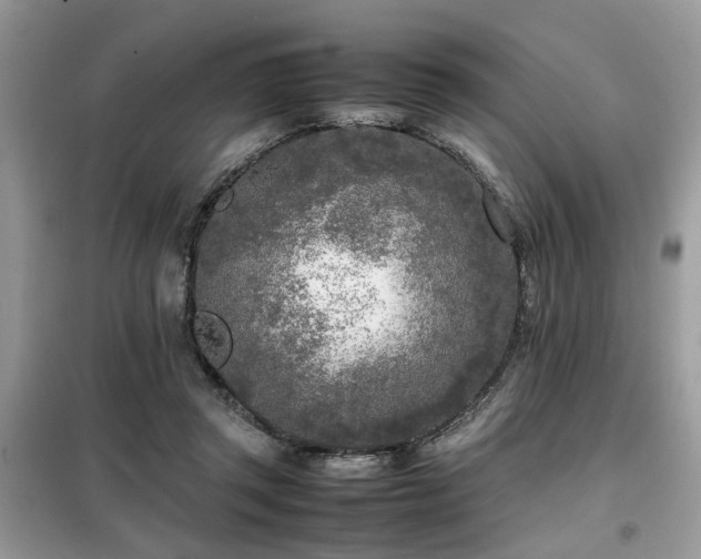 X0000099460357200805091534